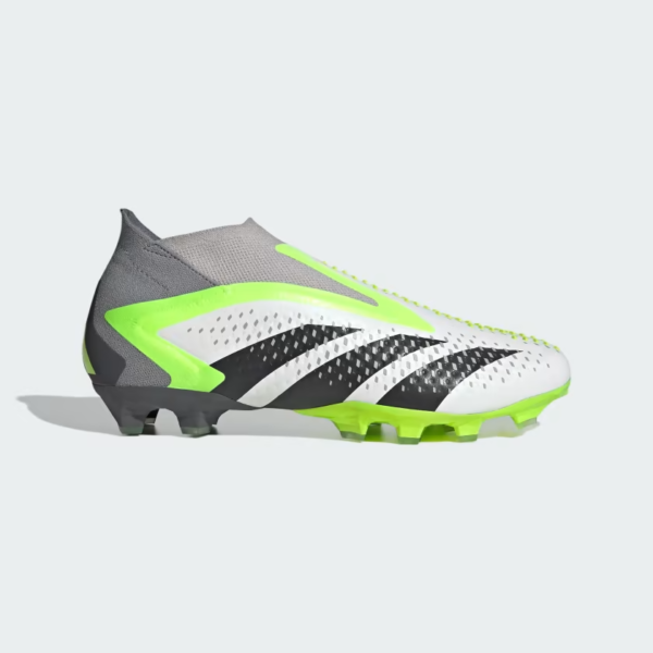 Predator Accuracy FG - imagine 2