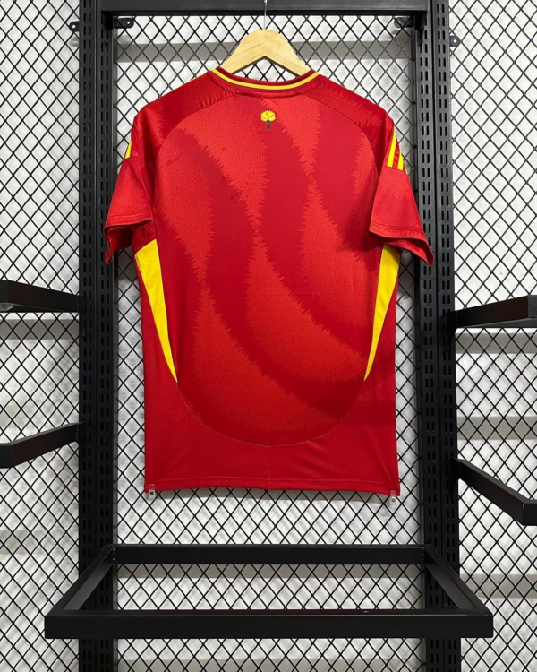 Spain 24/25 Home - imagine 2