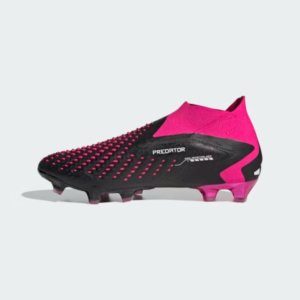 Predator Accuracy FG - imagine 4